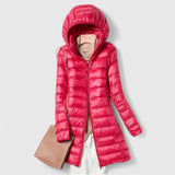 Fucsia