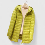 Giallo